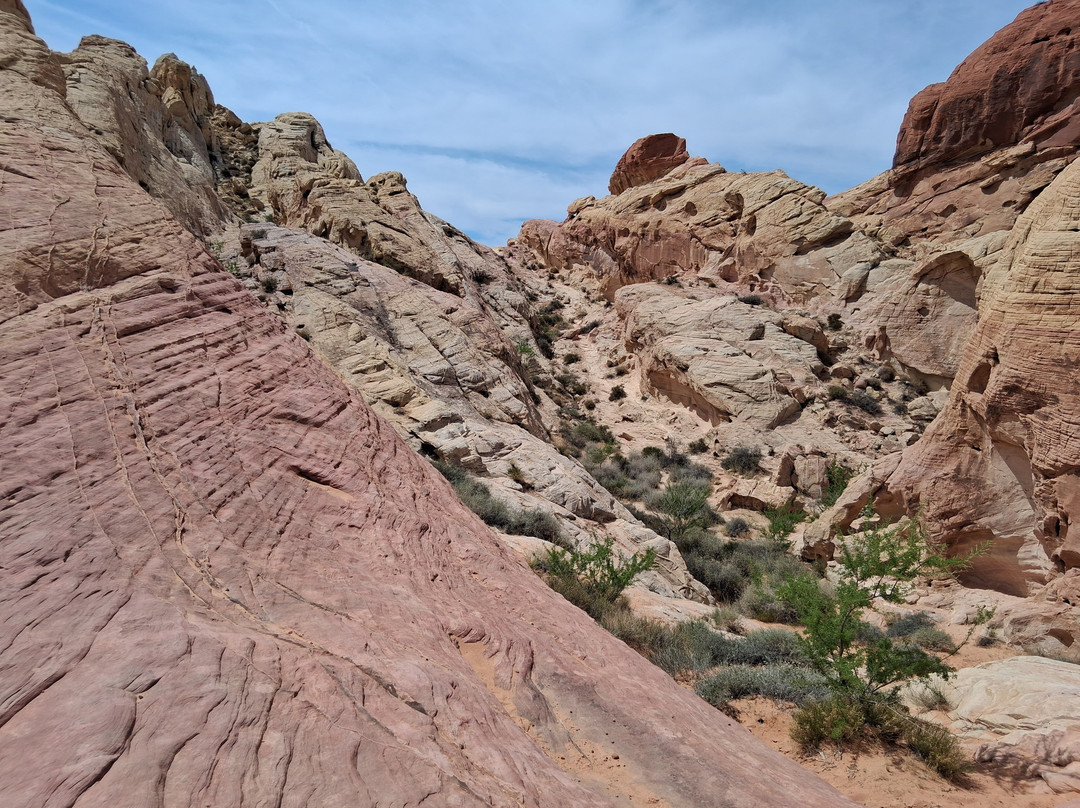 Valley of Fire State Park-欧弗顿必去景点