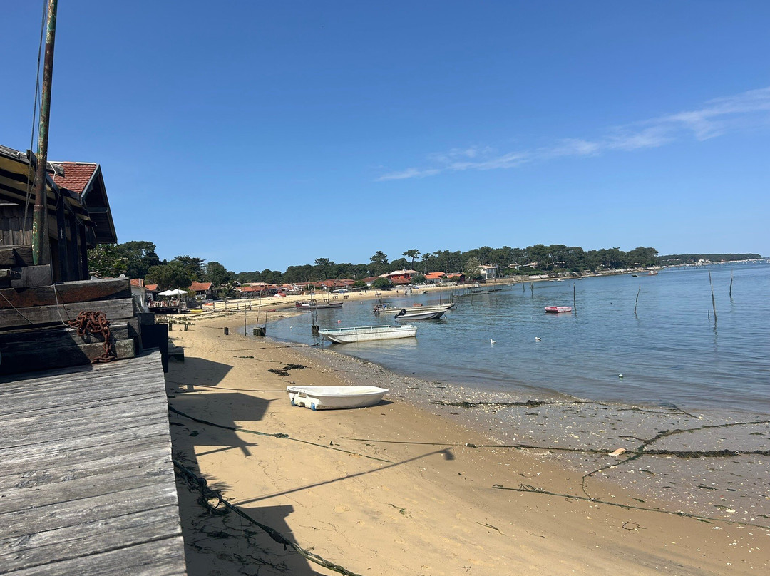 Beach Bikes - Location De Vélo À Arès-Ares必去景点