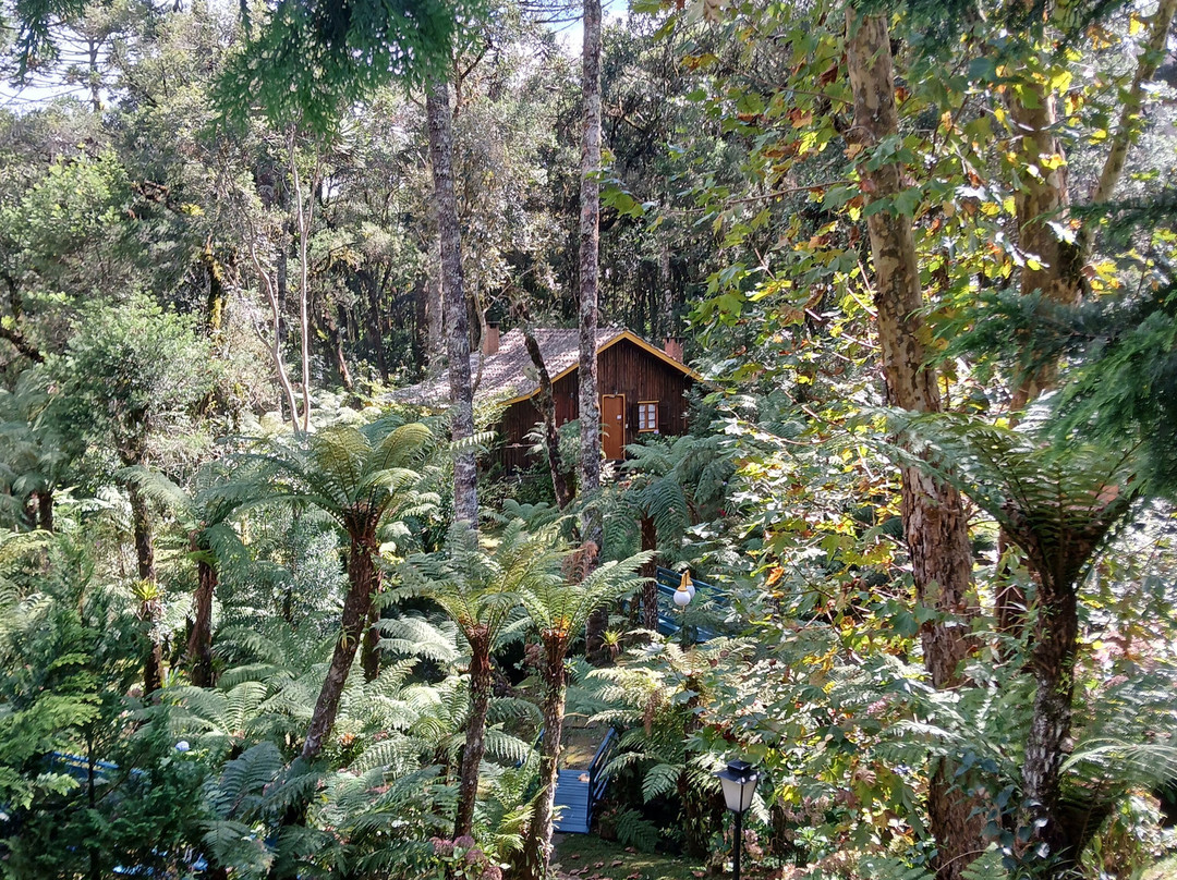 Pousada Villa d'Amore主图