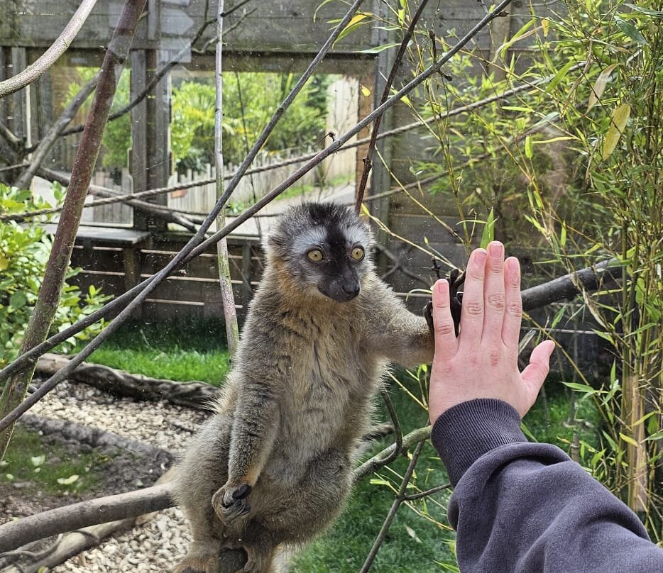 Exotic Zoo Wildlife Park + Natural History & Dino Museum-特尔福德必去景点
