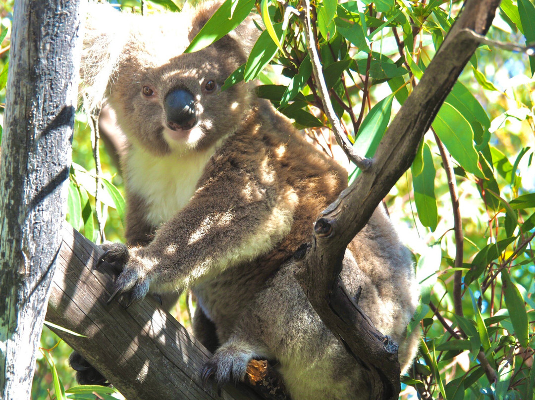 Trek Tours Australia-达尔文市必去景点