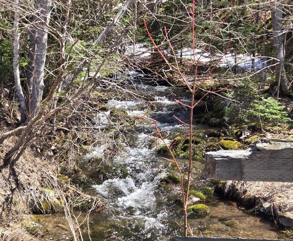Egypt Falls-Margaree Harbour必去景点