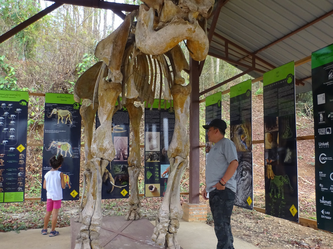 Elephant Conservation Center-Sayaboury必去景点