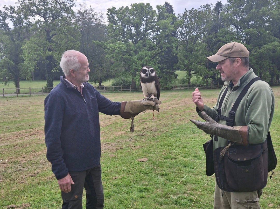 Surrey Hills Falconry-Ockley必去景点
