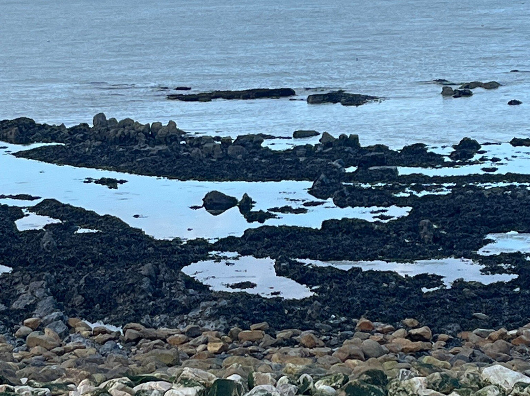 金丝特里克旅馆主图