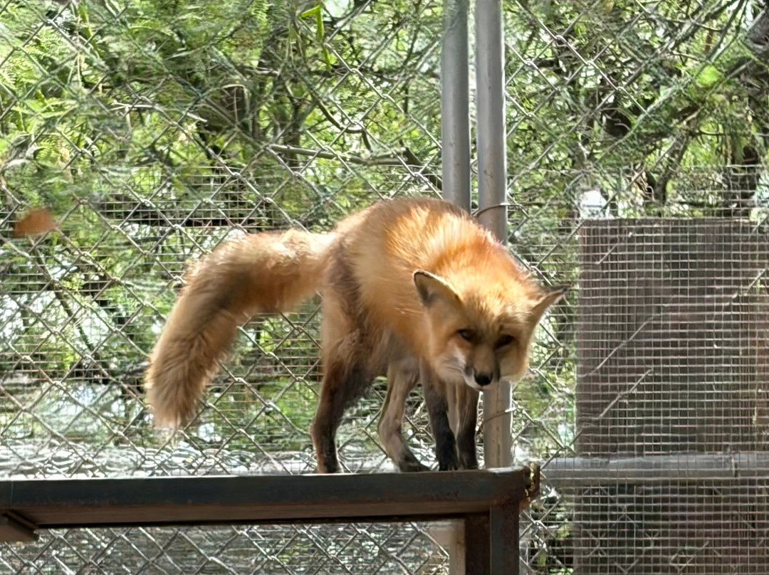 Southwest Wildlife Conservation Center-斯科茨代尔必去景点