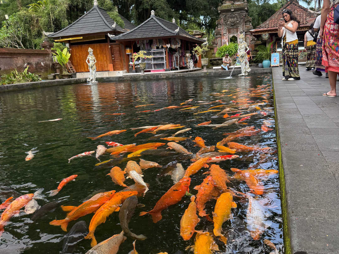 Travel Point Bali-Ketewel必去景点