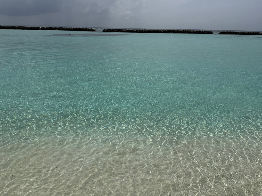 Joy Island Maldives by Cocoon Collection主图