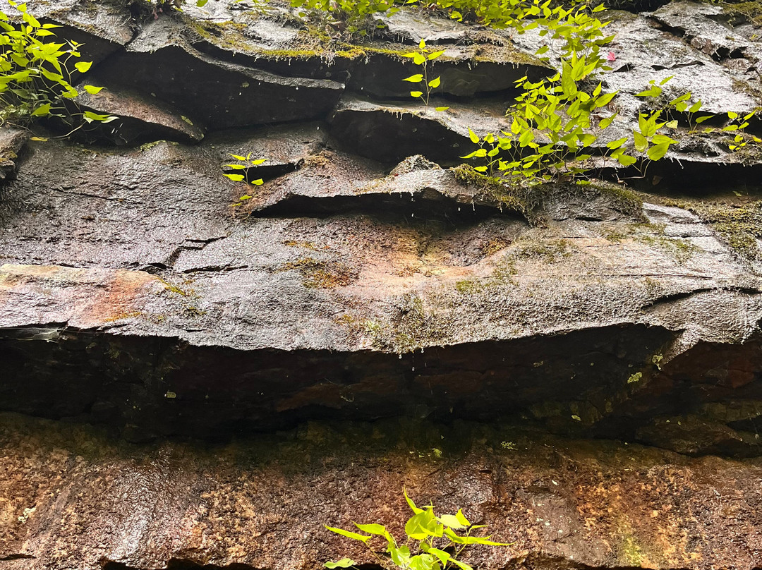 Cloudland Canyon State Park-Rising Fawn必去景点