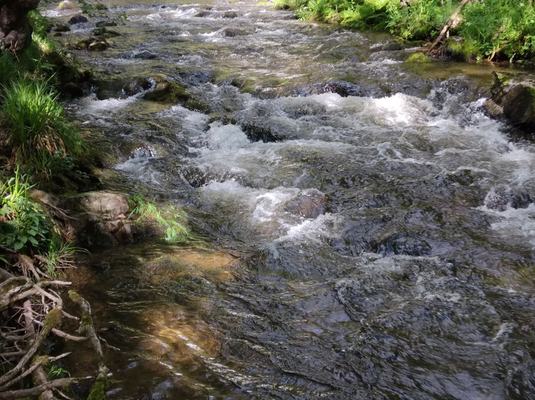 Cascade Sainte Elisabeth-La Tour-d'Auvergne必去景点