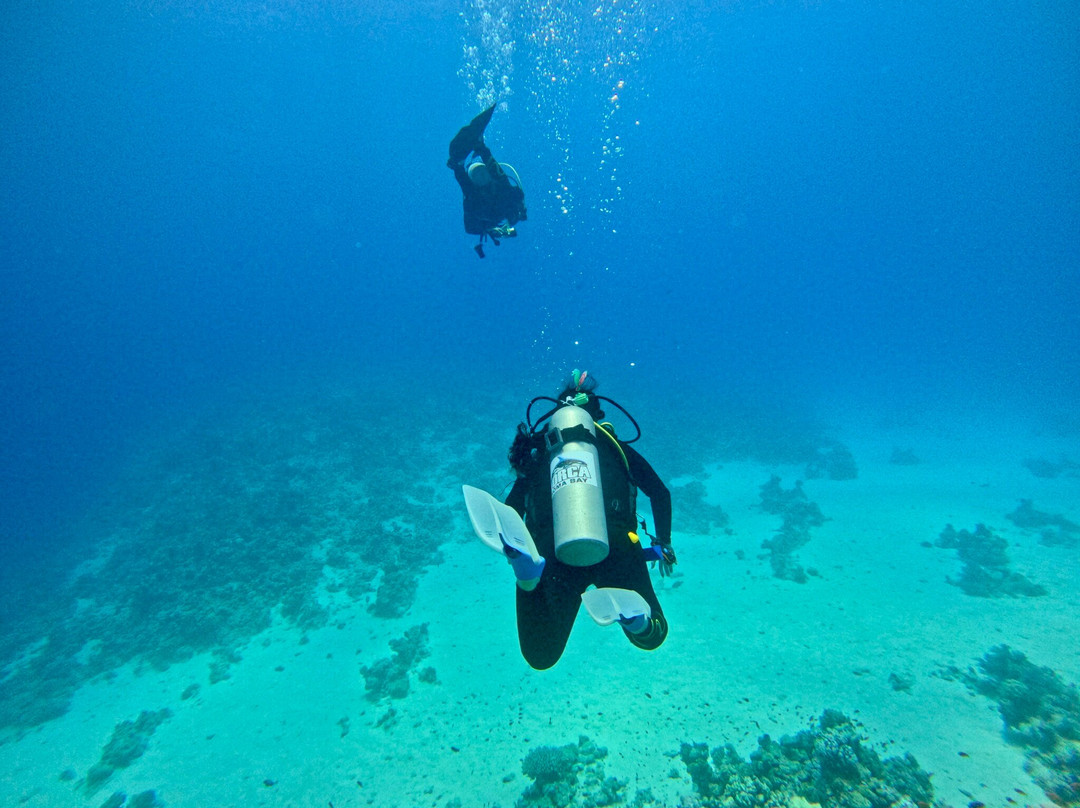 ORCA Dive Club Soma Bay-索马湾必去景点