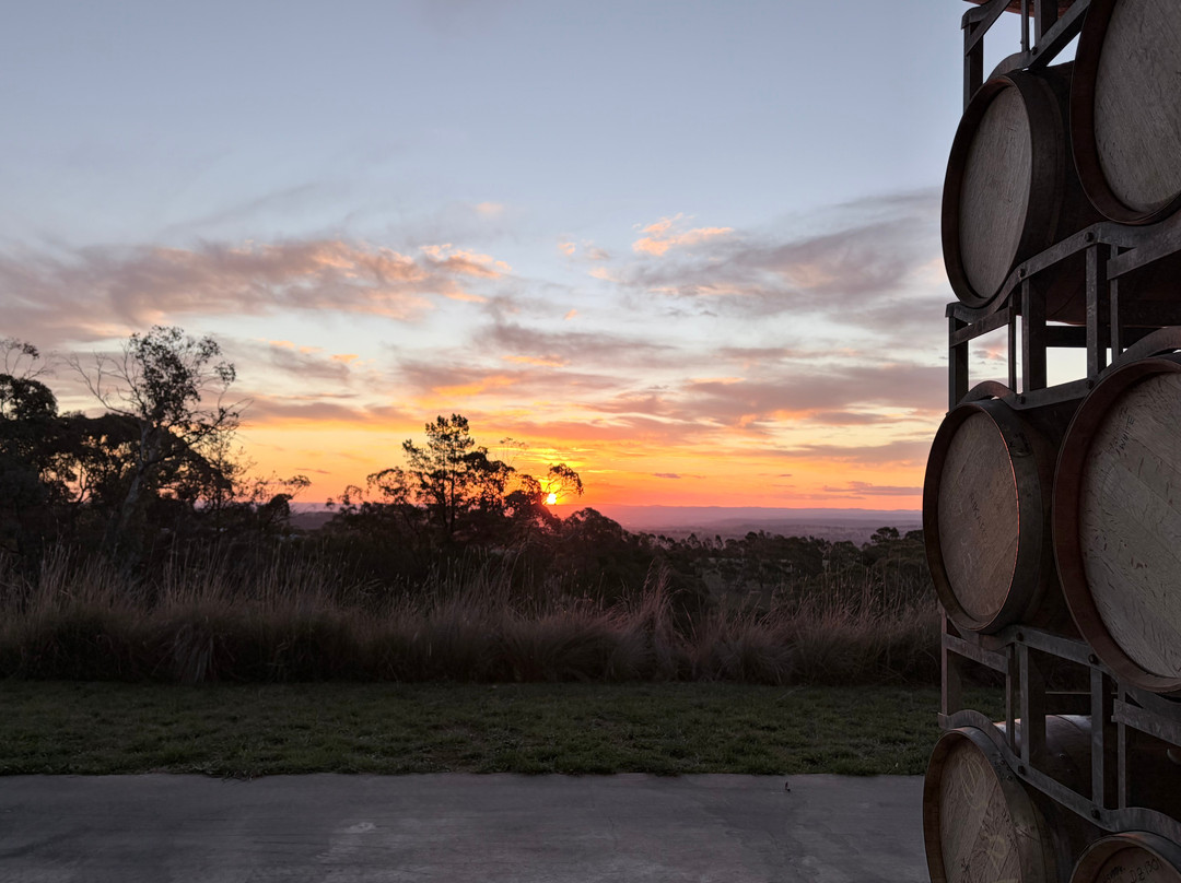 Rikard Wines