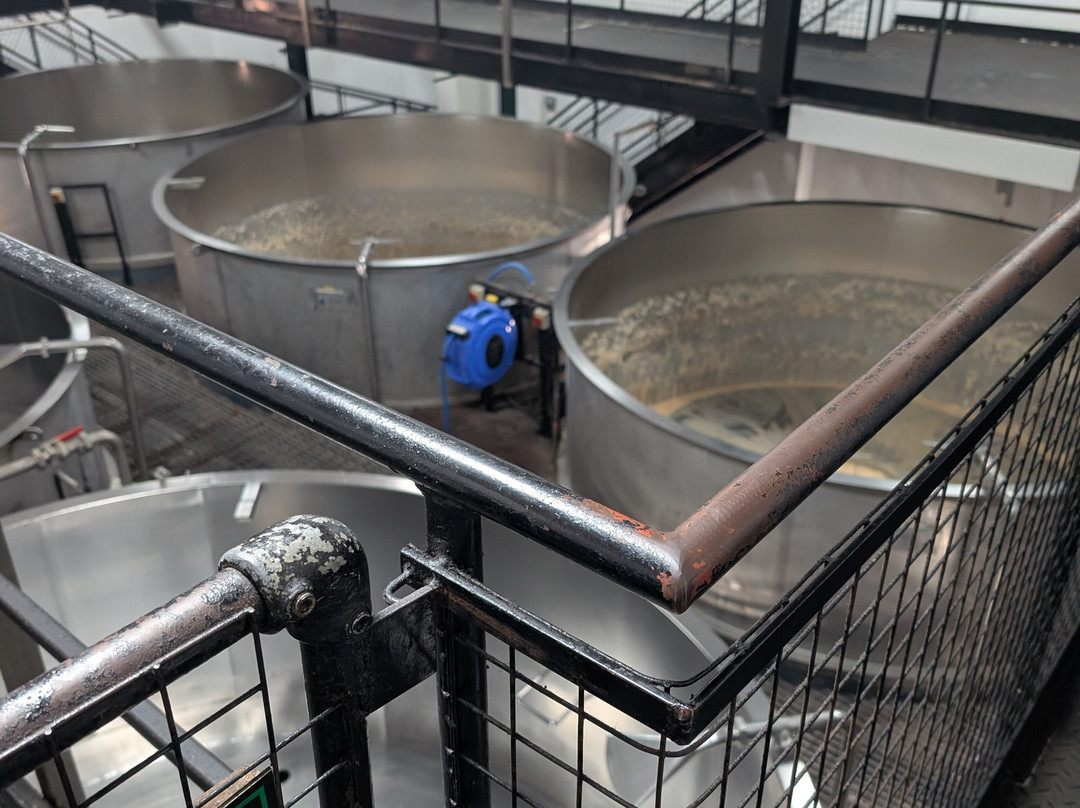 The Black Sheep Brewery-马沙姆必去景点