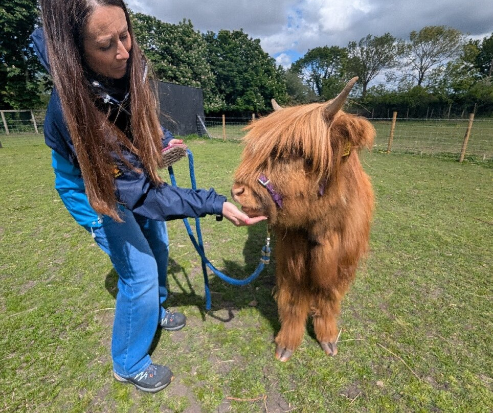 Greenacres Animal Park-Deeside必去景点