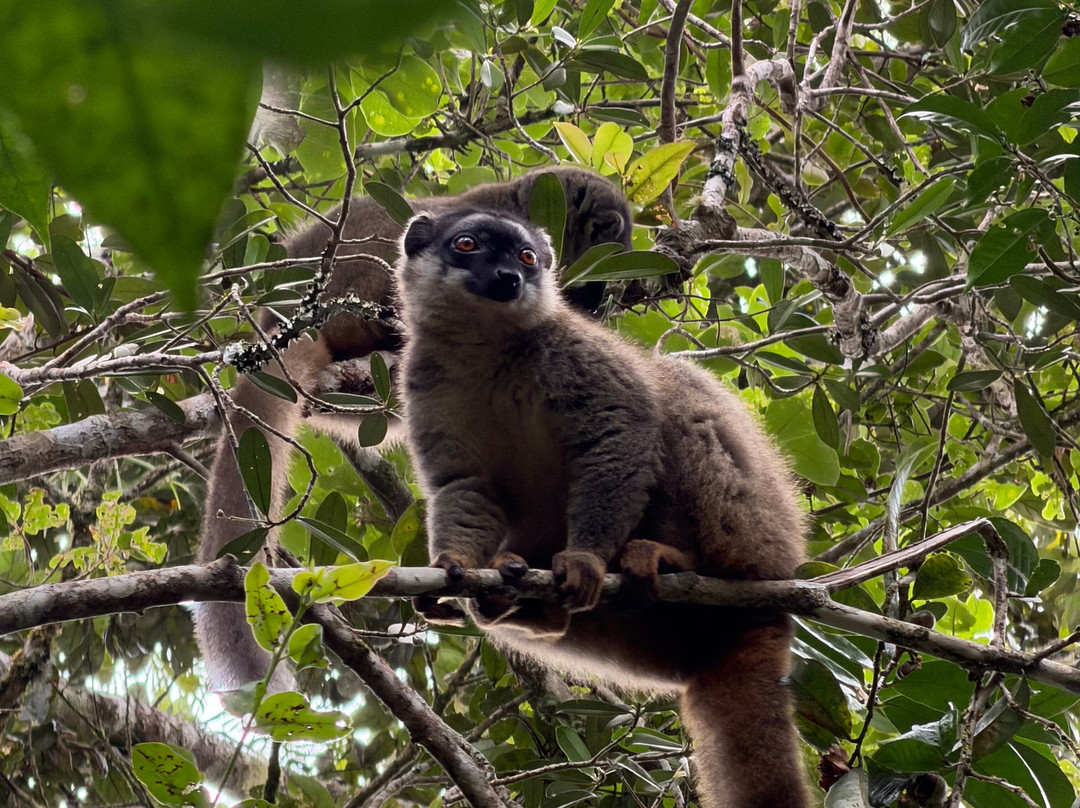 Cactus Tours Madagascar-安塔那那利佛必去景点