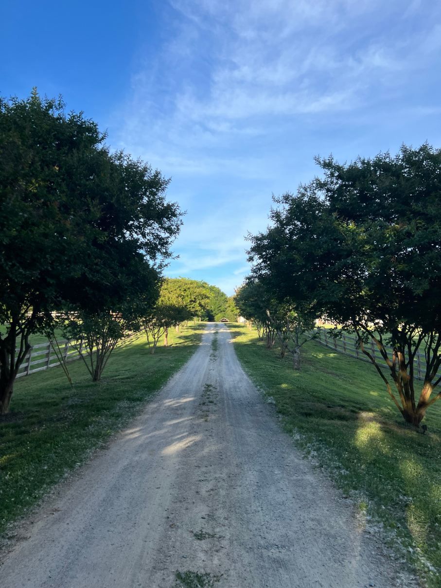 The Inn at Rosehill & Rosehill Stables-度假村/酒店