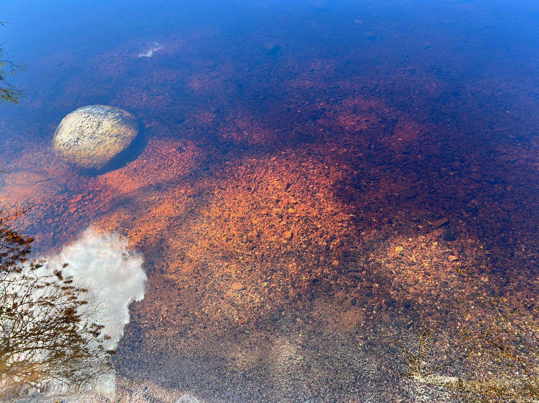 Kulhanvuori Hill Nature Reserve-Saarijärvi必去景点