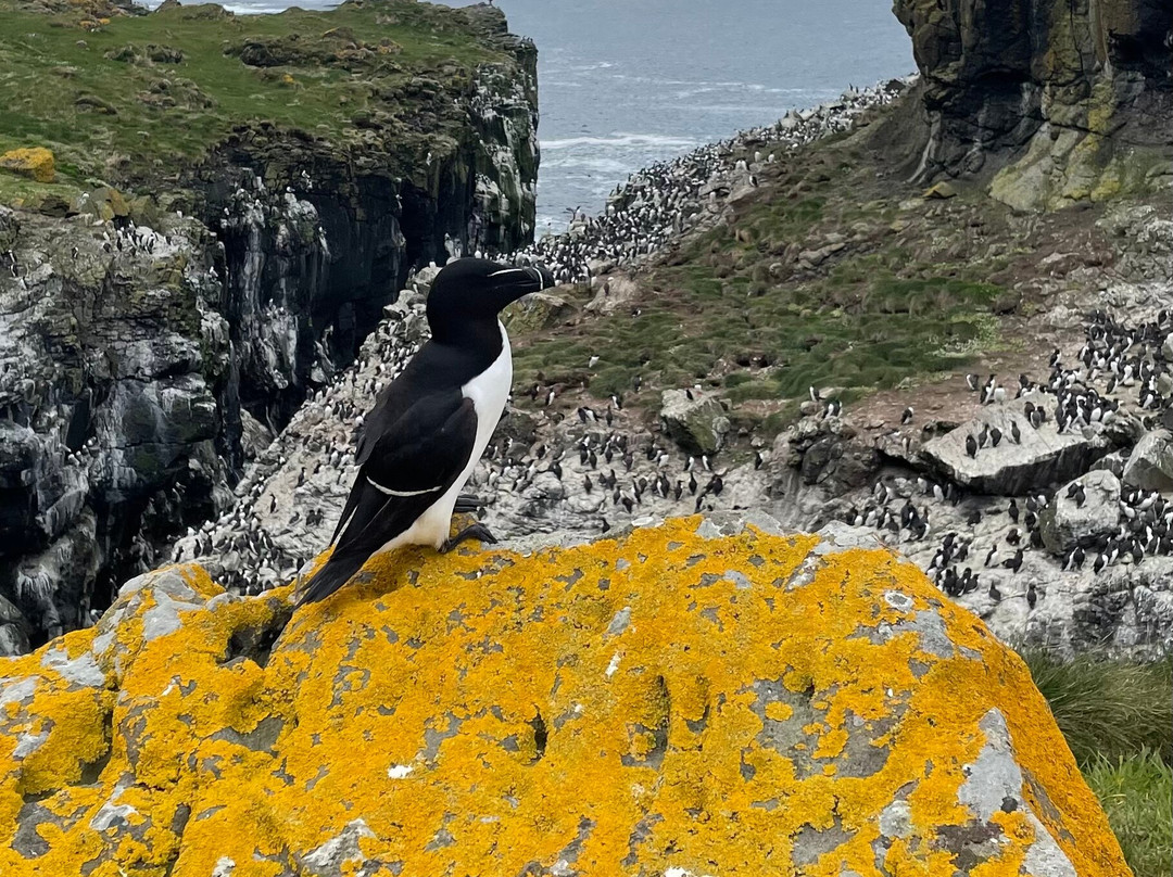 Tiree Sea Tours-Isle of Tiree必去景点