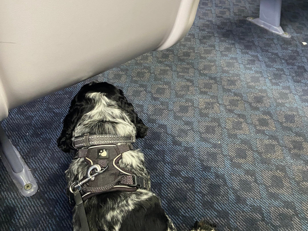 ScotRail-格拉斯哥必去景点