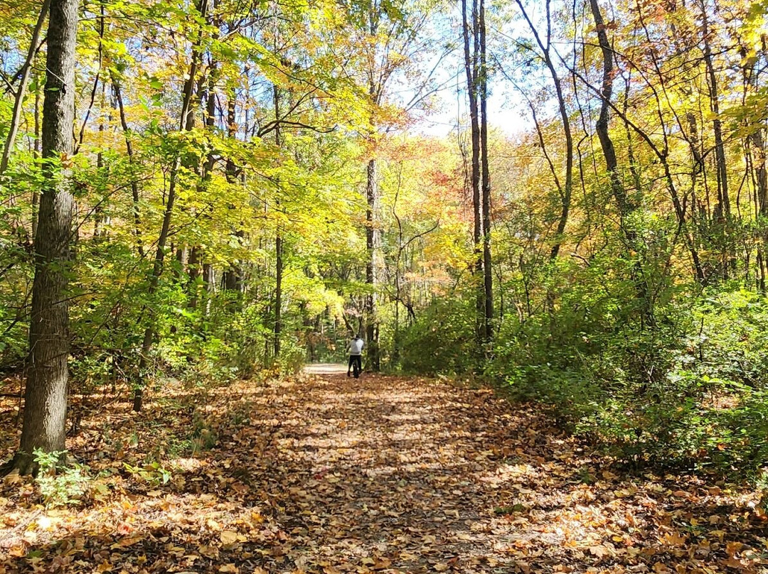 Stonelick State Park-Pleasant Plain必去景点