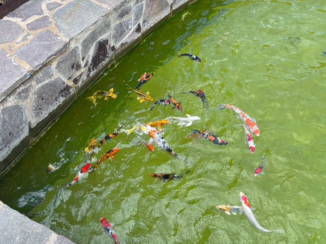 Chinese Garden of Serenity-Santa Lucija必去景点