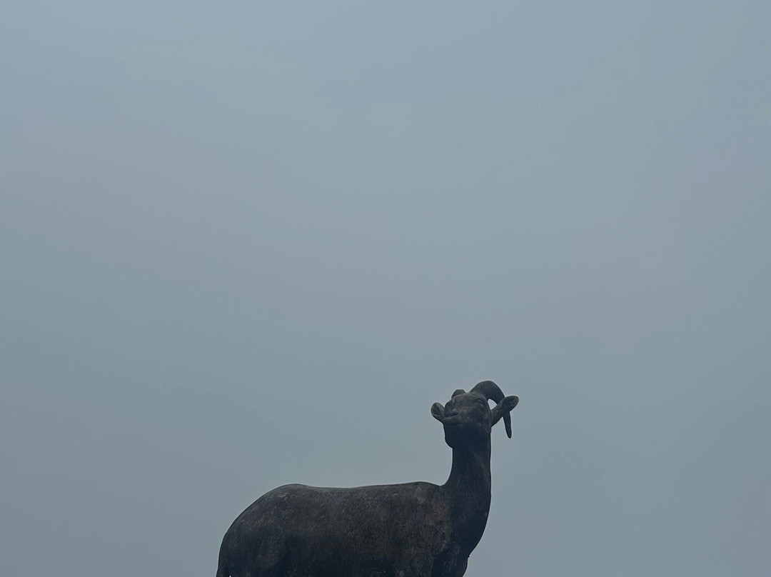 Ponmudi Hill Station-卡拉拉必去景点