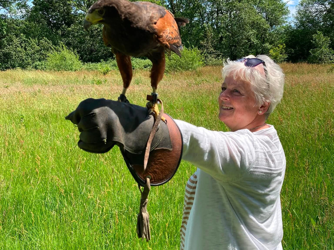North Devon Hawk Walks-South Molton必去景点