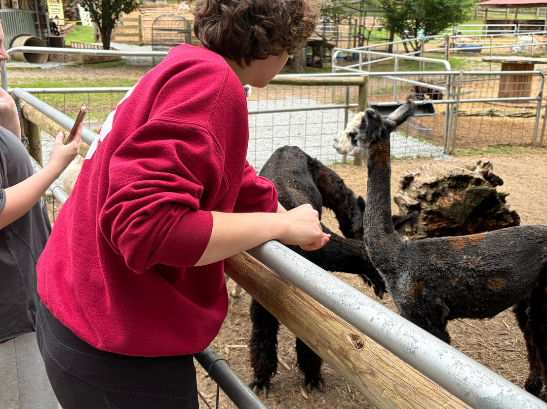 North Georgia Wildlife Park-Cleveland必去景点