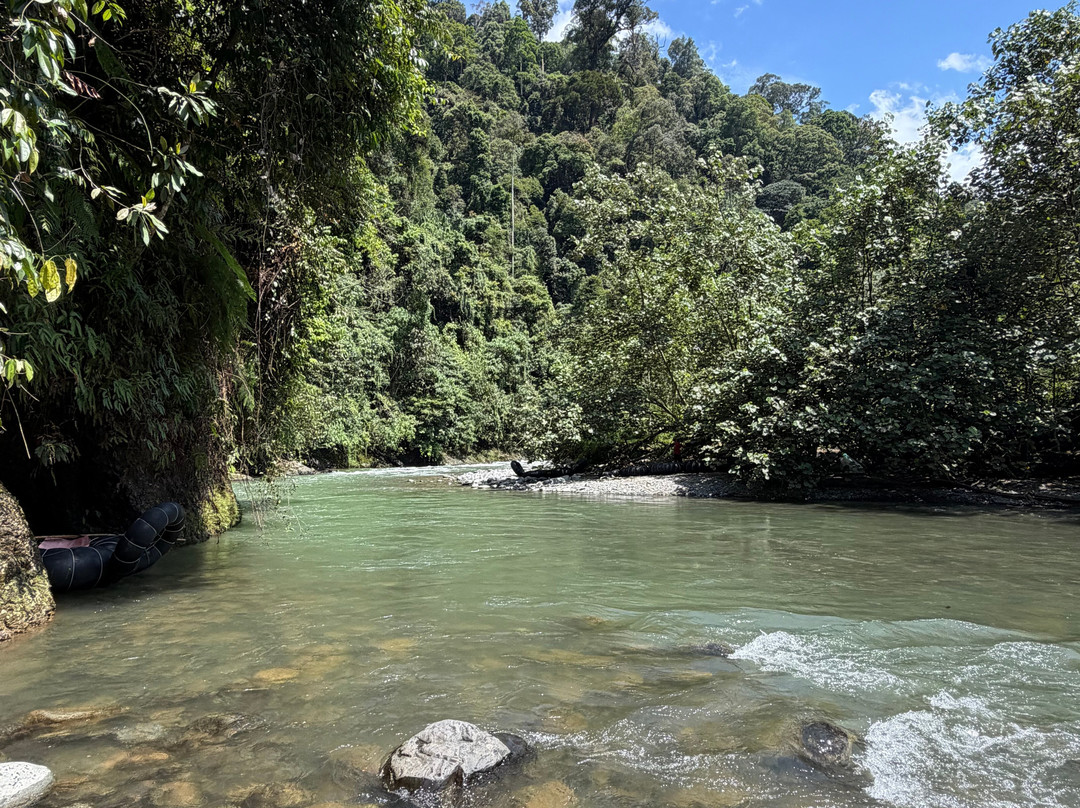 Bukit Lawang Trekking-武吉拉旺必去景点
