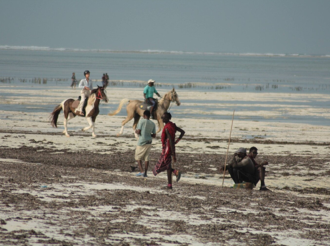 Pwani Mchangani Beach-Pwani Mchangani必去景点