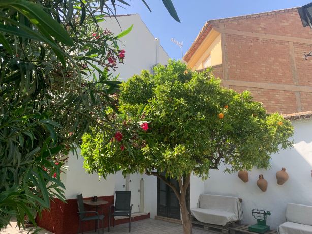 Finca La Cañota-旅行者