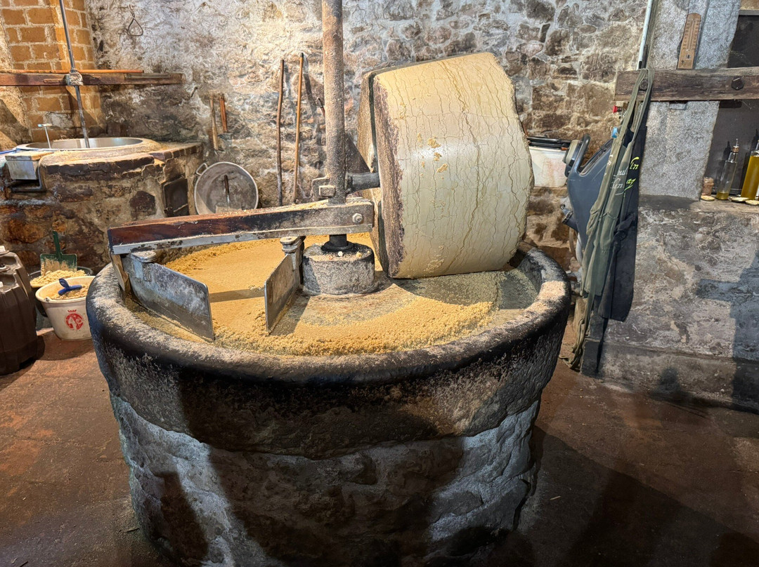 Le Moulin de Chanaz-Chanaz必去景点