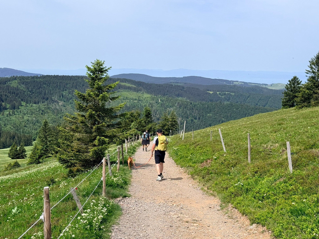 Landgasthof Zum Dorfkrug主图