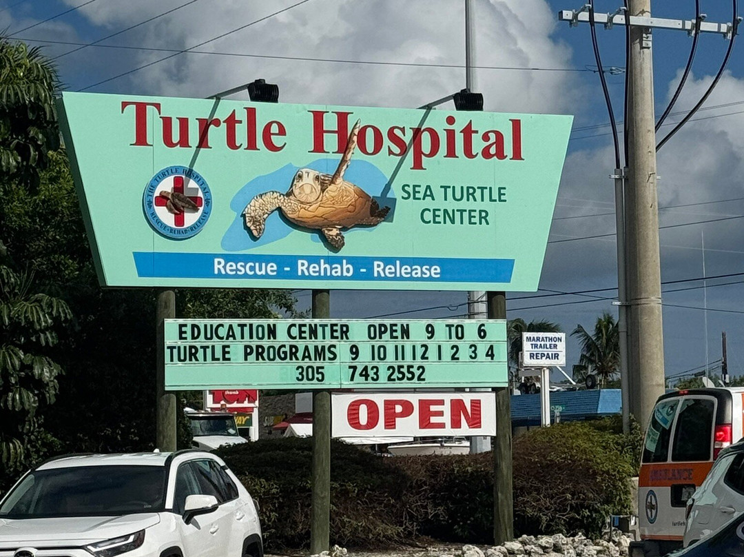 The Turtle Hospital-马拉松必去景点