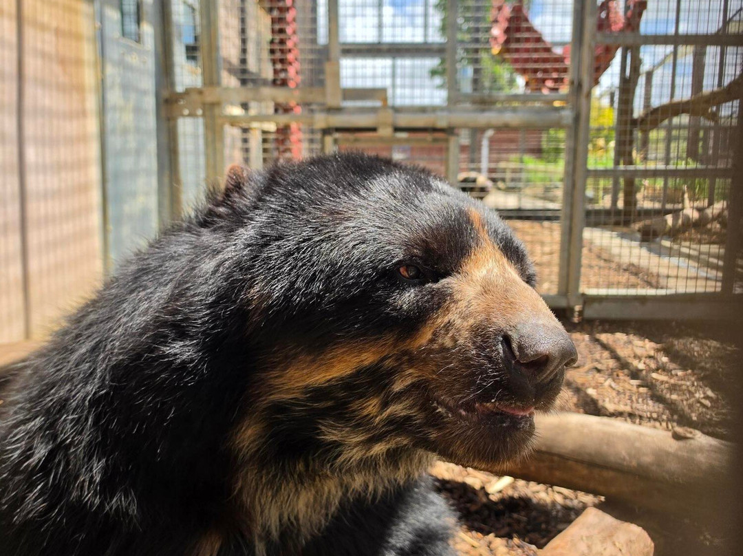 Noah's Ark Zoo Farm-Wraxall必去景点