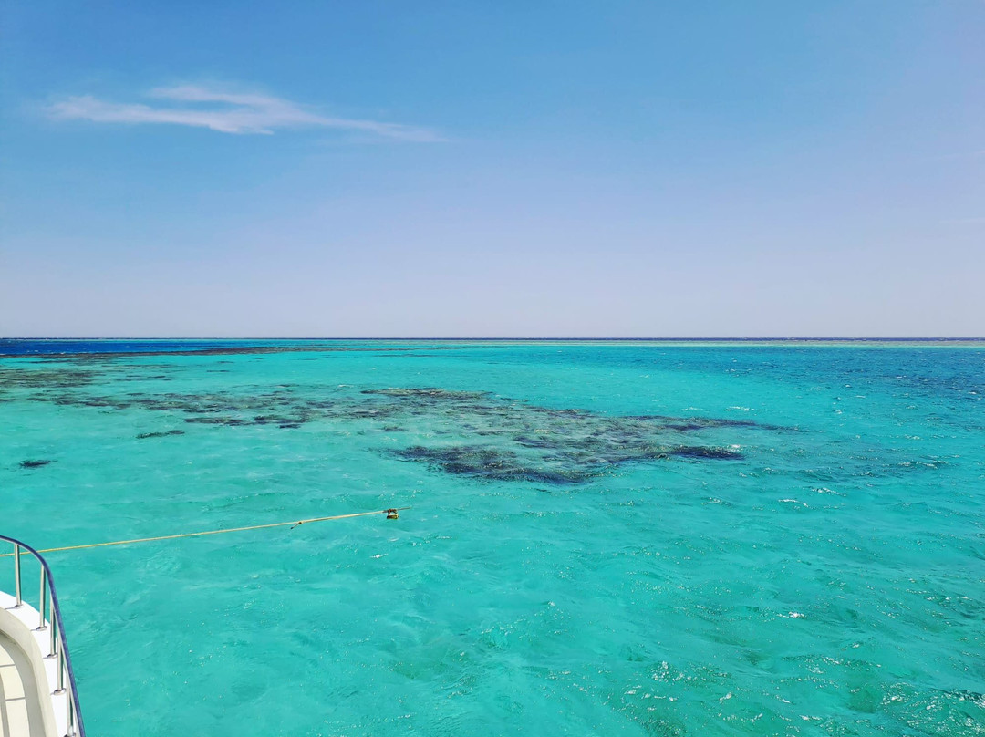 Wadi El Gemal National Park-马萨阿拉姆必去景点