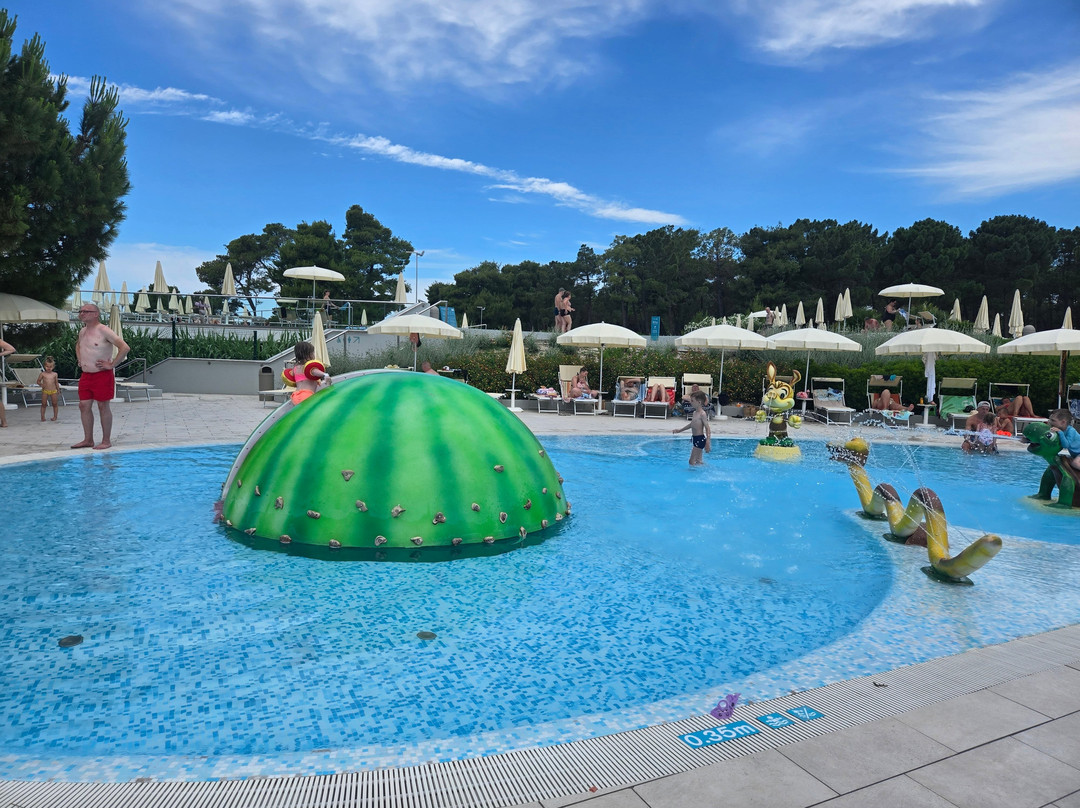 Zaton Holiday Resort 4 Star Apartments主图