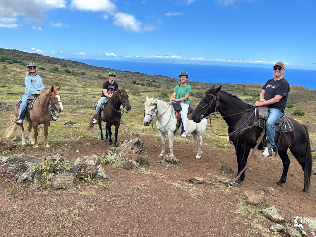 Triple L Ranch Horseback Tours-库拉必去景点