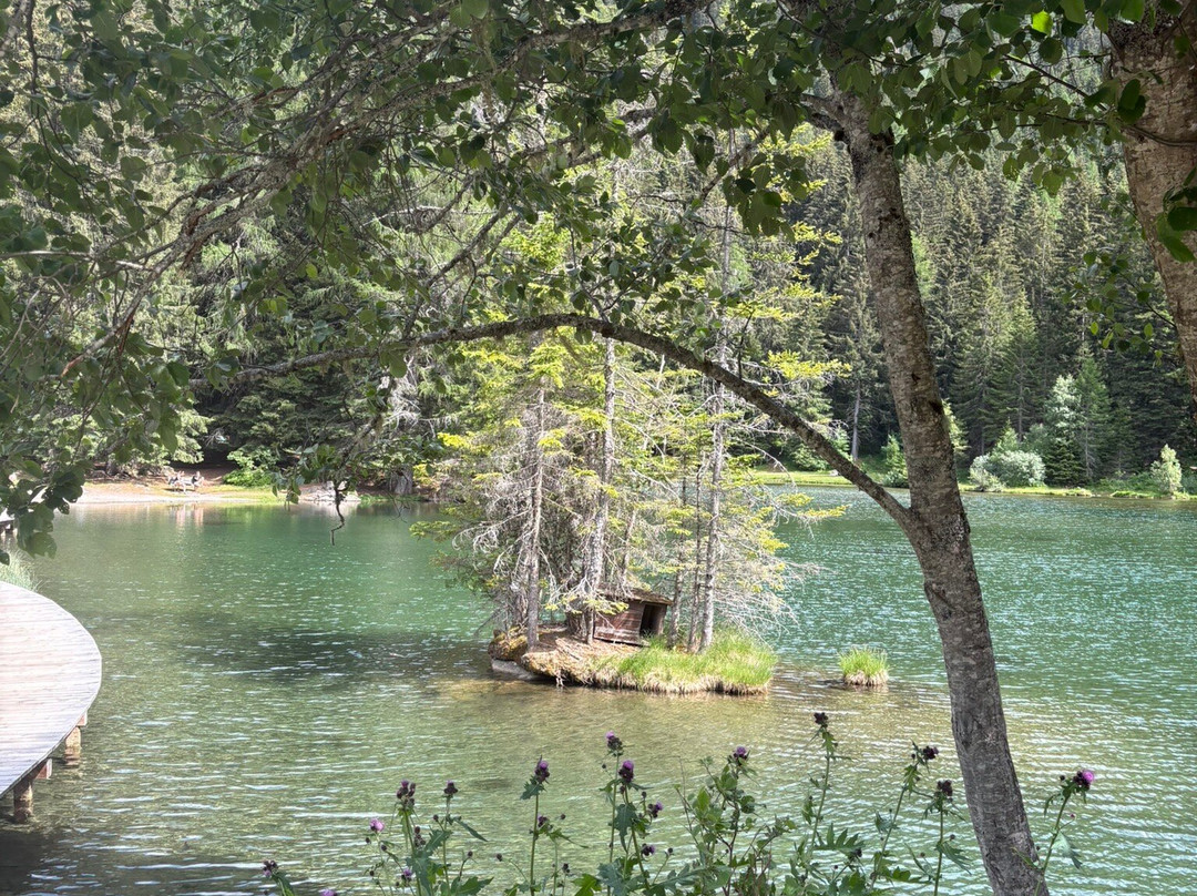 Lago dei Caprioli-Pellizzano必去景点