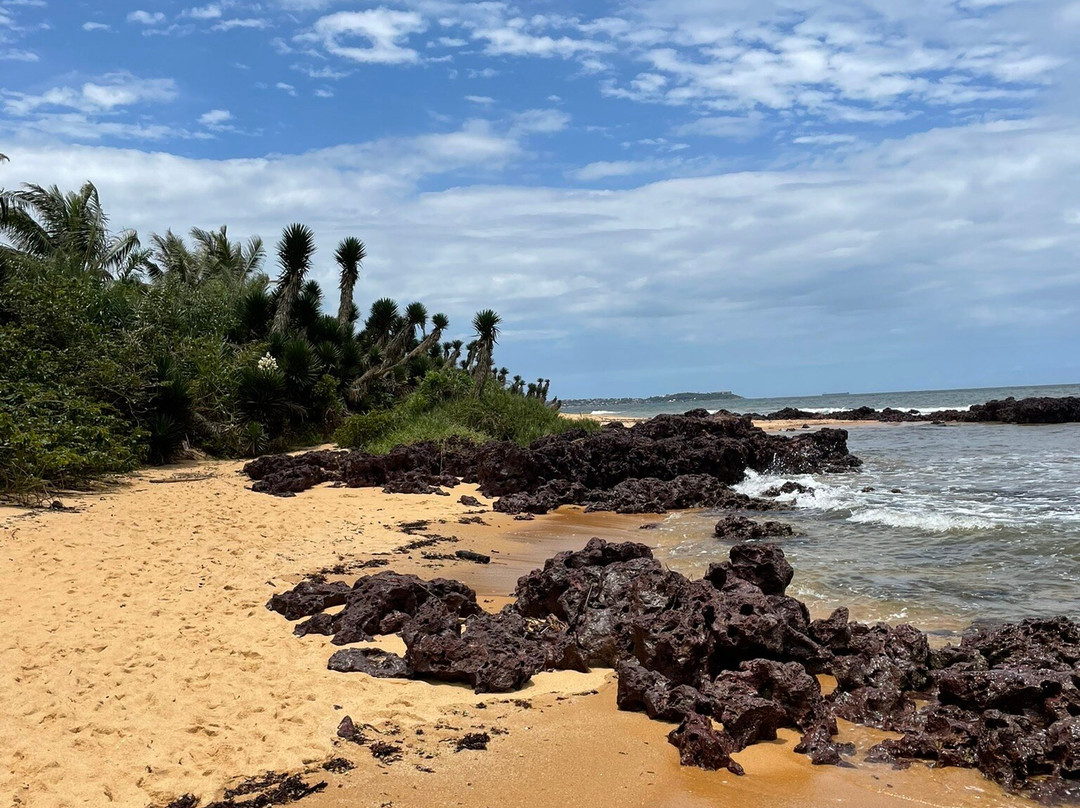 Praia dos Castelhanos-Anchieta必去景点