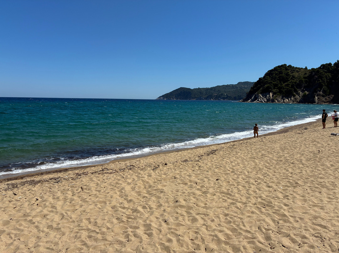 Megalos Aselinos Beach-斯亚索斯必去景点