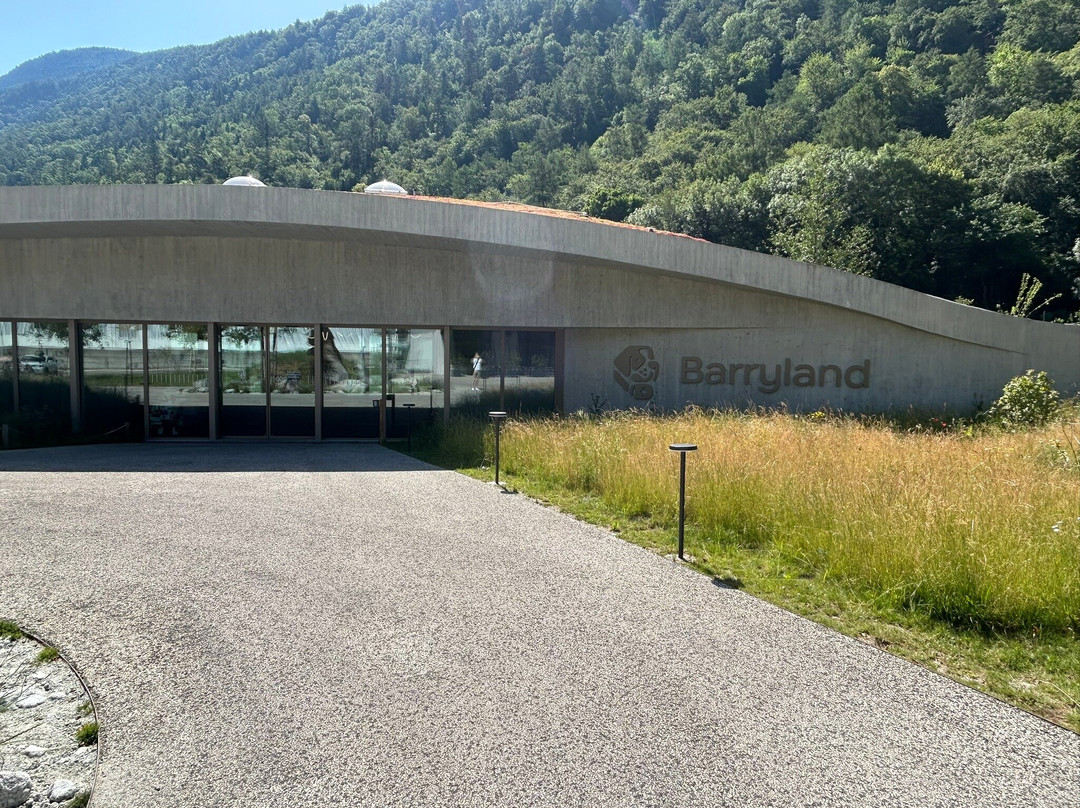 Barryland - Musée et chiens du St-Bernard-马蒂尼必去景点