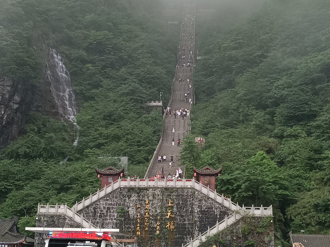 China Discovery-成都必去景点