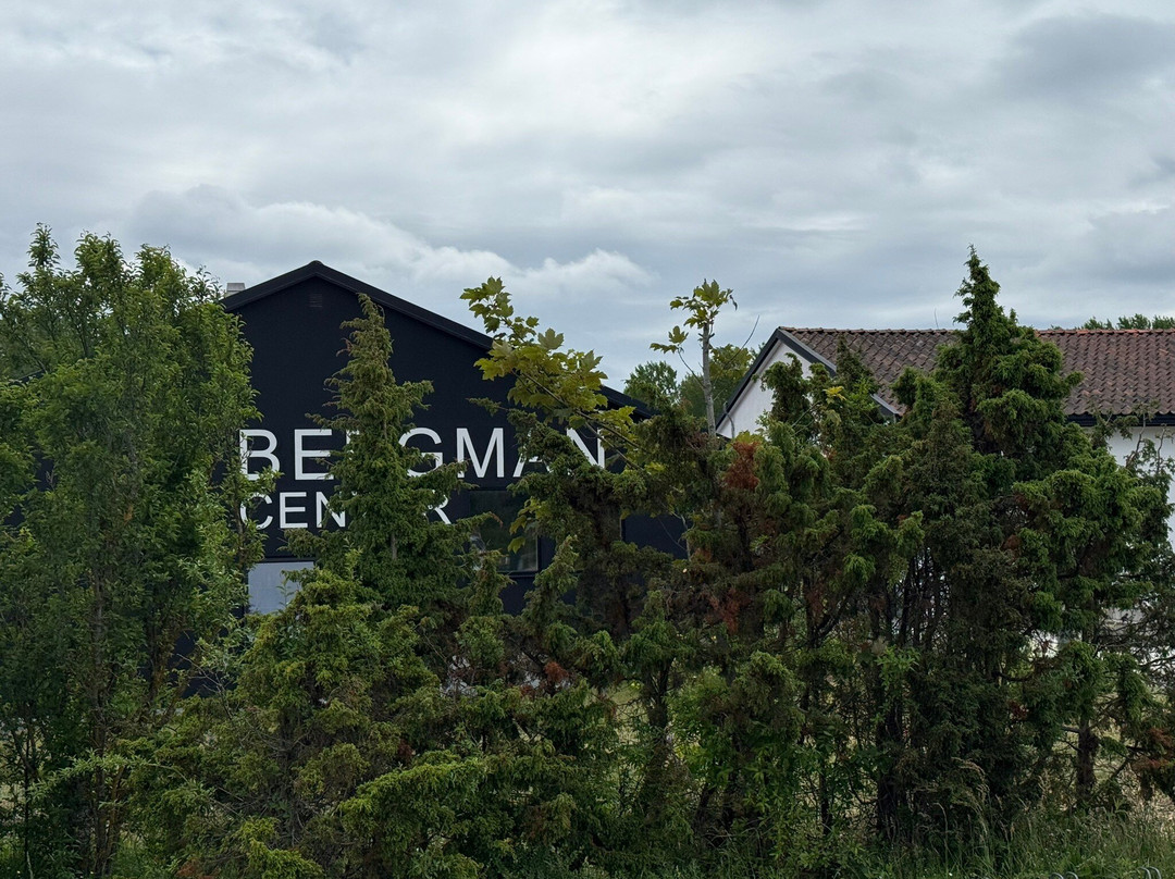 Bergman center-Faro必去景点