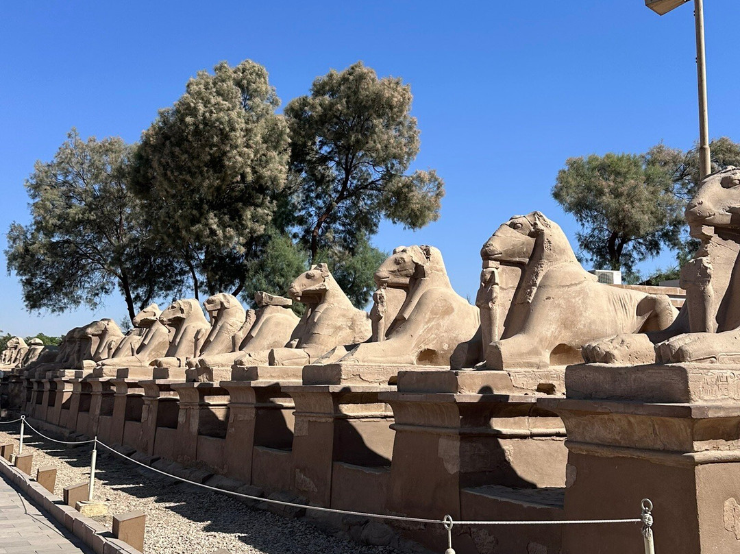 Marsa Alam Tours-马萨阿拉姆必去景点