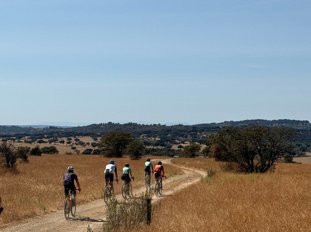 Paradise Cycling Tours-Alte必去景点