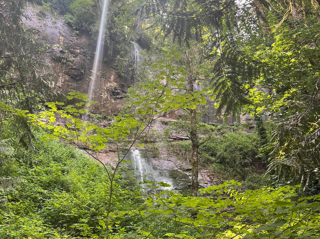 Green River Gorge Conservation Area-Enumclaw必去景点