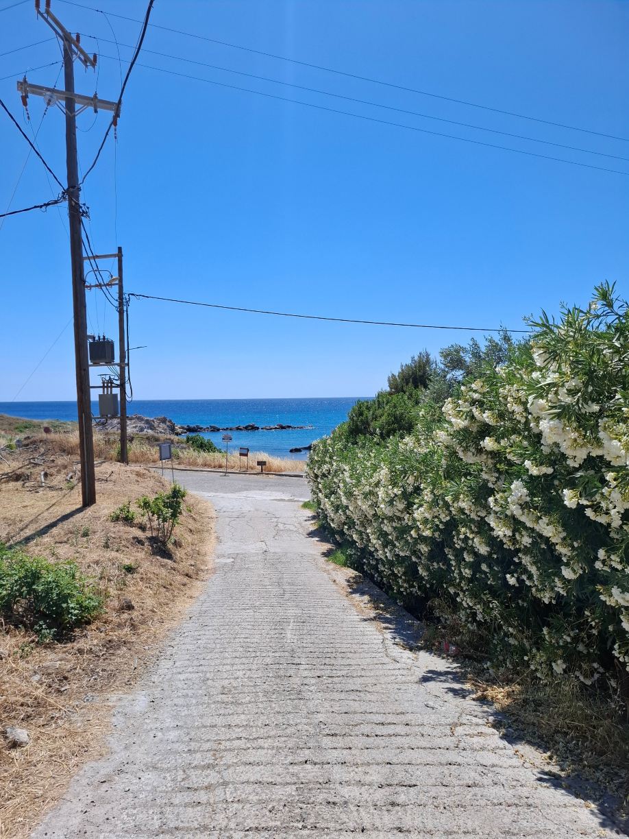Hotel Porto Plaza Beach Resort-旅行者