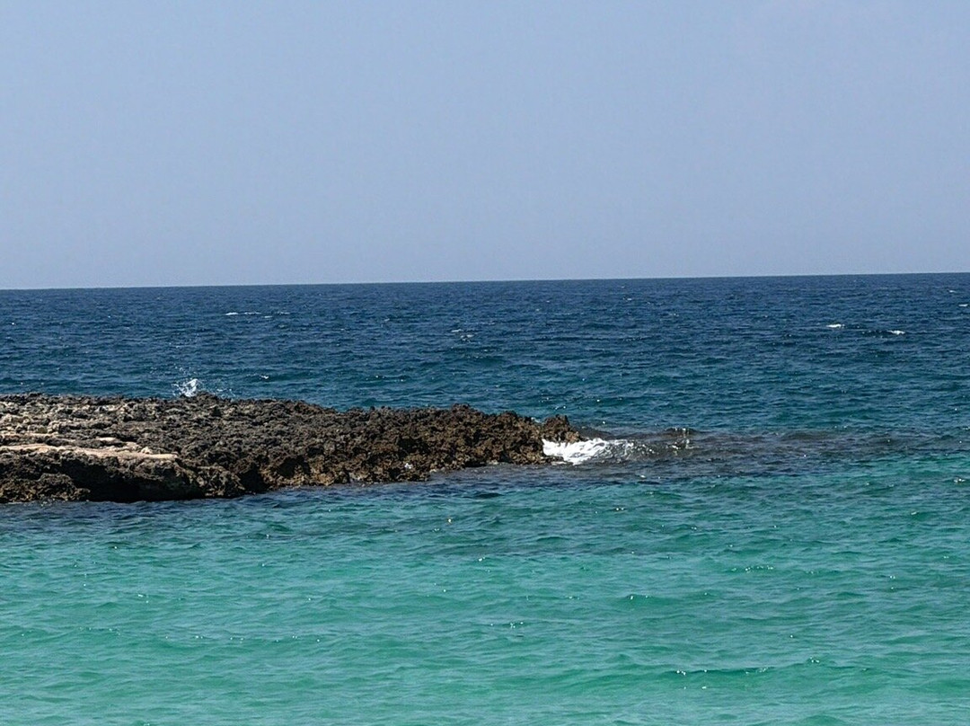 Spiaggia di SantIsidoro-Sant'Isidoro必去景点