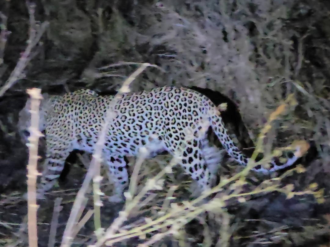 Makasa Tanzania Safaris-莫西必去景点
